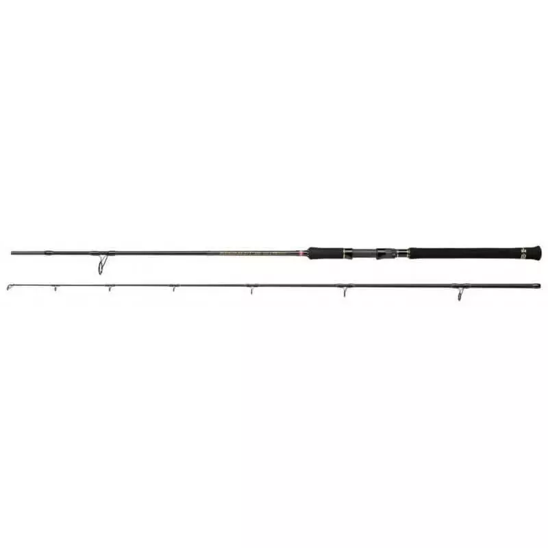 Canne Regiment III Spin And Pilk - PENN 1 Canne Regiment III Spin And Pilk - PENN