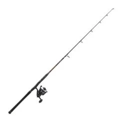 ENSEMBLE PENN LEGION CAT BRONZE VERTICAL COMBO